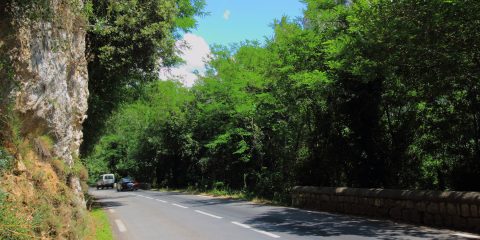 Pont d'Arc masqué