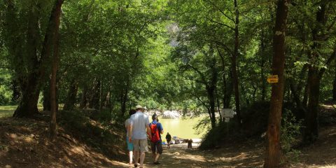 Sentier amont d'accès au Pont d'Arc