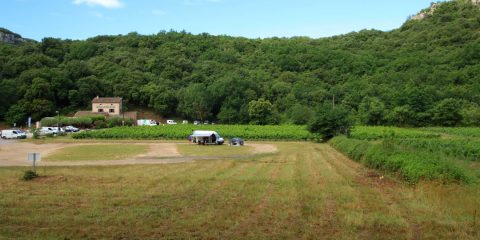 Vignes de la Combe d'Arc 2